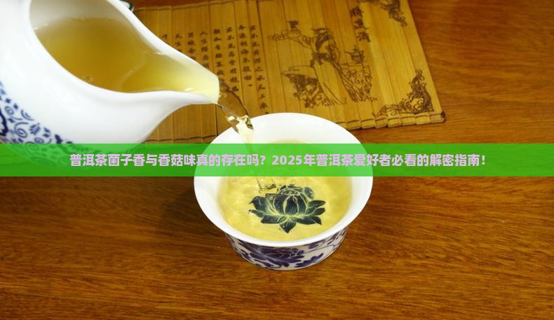 普洱茶菌子香与香菇味