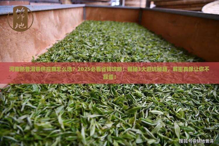 河南熟普洱茶供应商