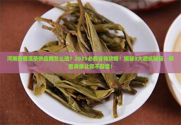 河南熟普洱茶供应商