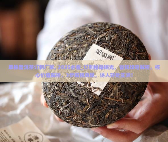 单株普洱茶订制厂家