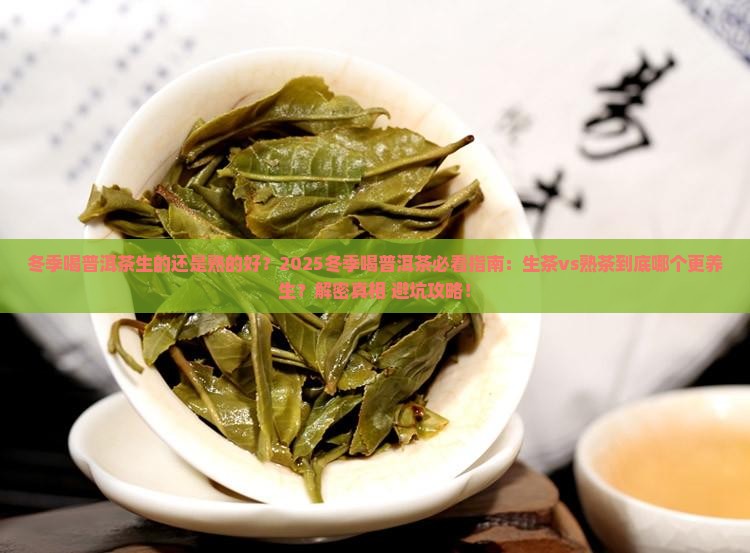 冬季喝普洱茶生的还是熟的好