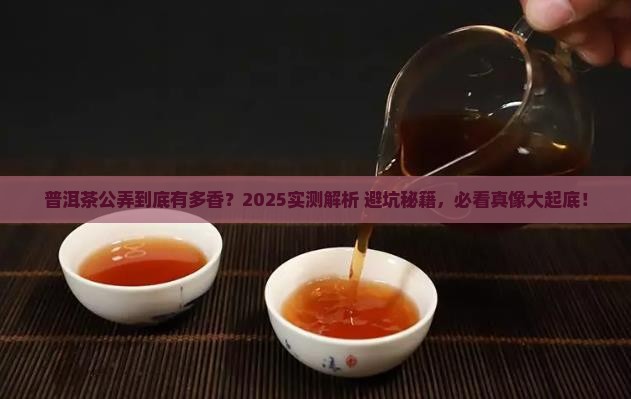 普洱茶公弄怎么样
