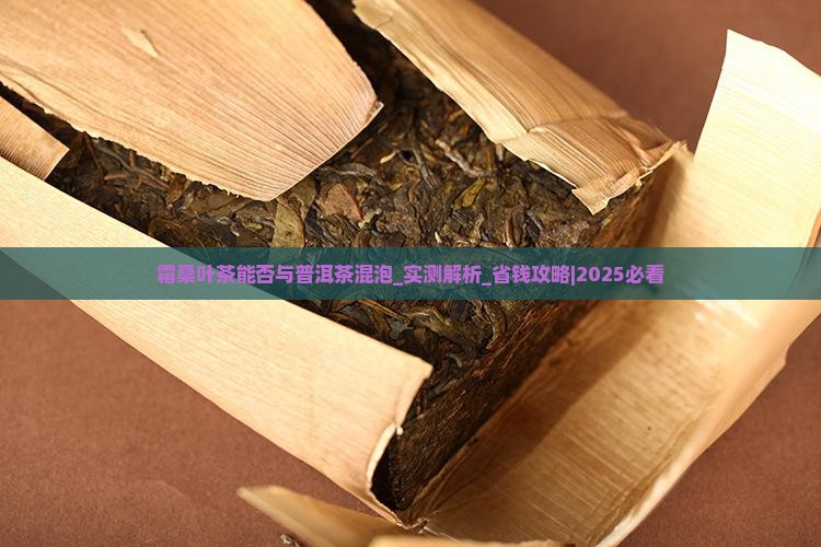 霜桑叶茶能否与普洱茶混泡