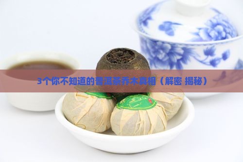 普洱茶乔木是地名吗
