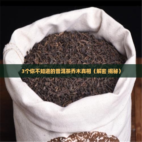 普洱茶乔木是地名吗