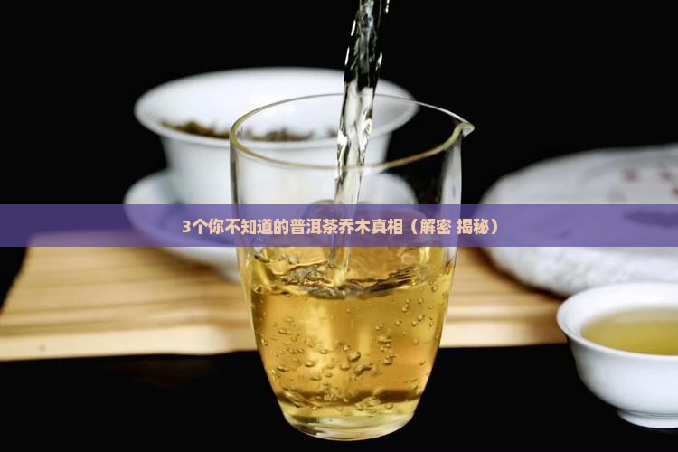 普洱茶乔木是地名吗
