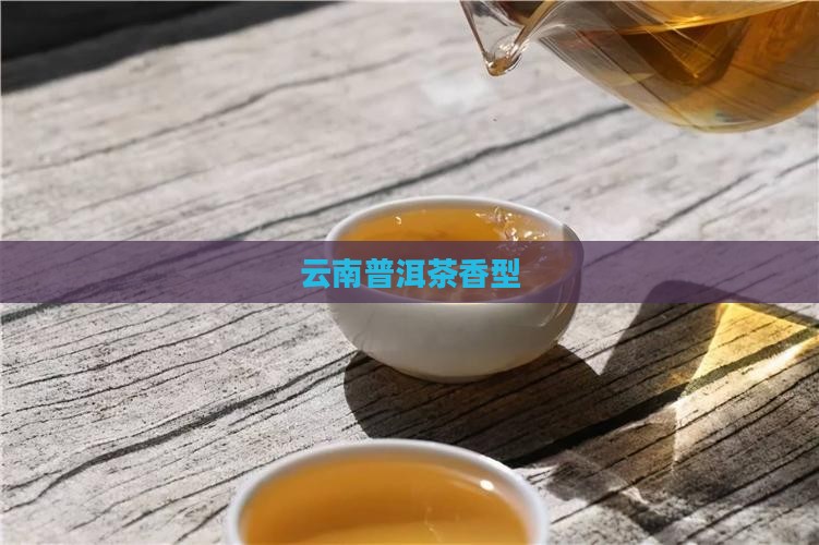 云南普洱茶香型
