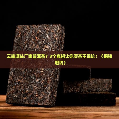云南源头厂家普洱茶 云南源头厂家普洱茶