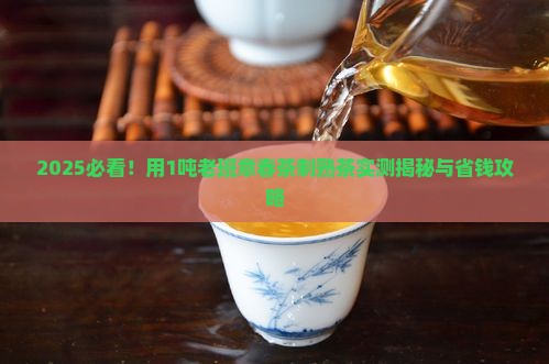 用1吨老班章春茶制熟茶