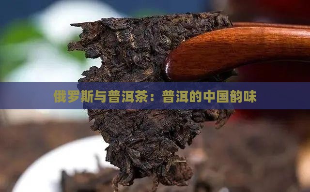俄罗斯做普洱茶