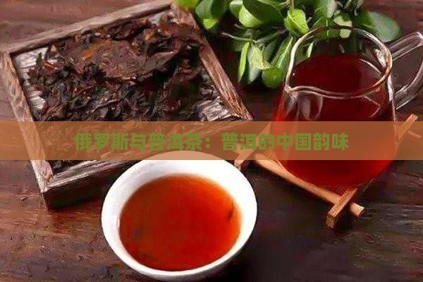 俄罗斯做普洱茶