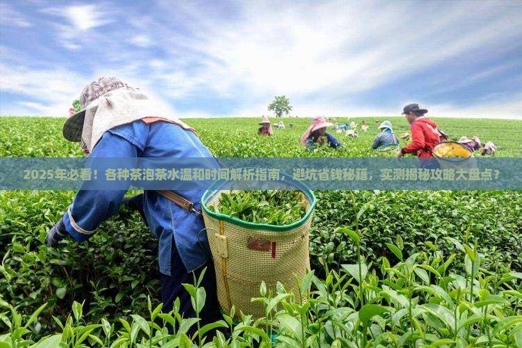 各种茶泡茶水温和时间