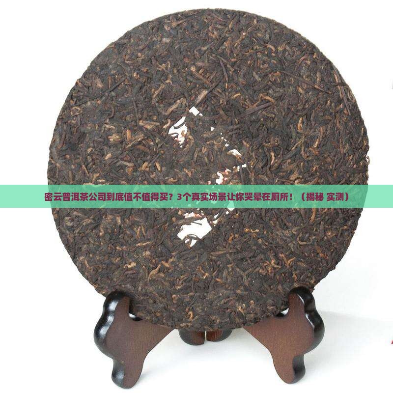 密云普洱茶公司