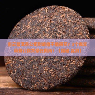 密云普洱茶公司