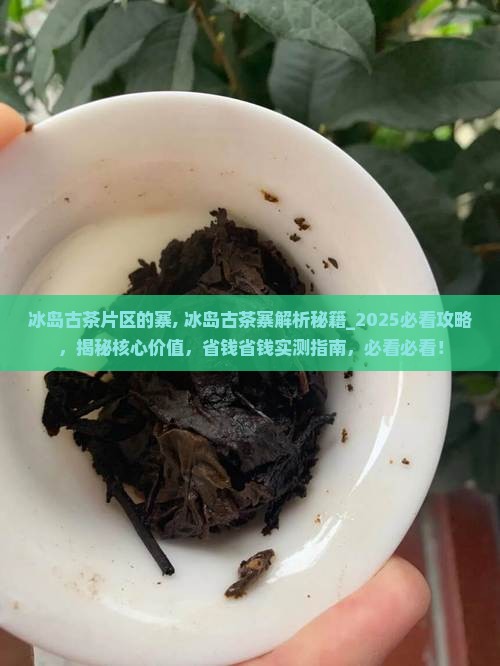 冰岛古茶片区的寨