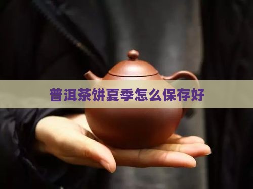 普洱茶饼夏季怎么保存好