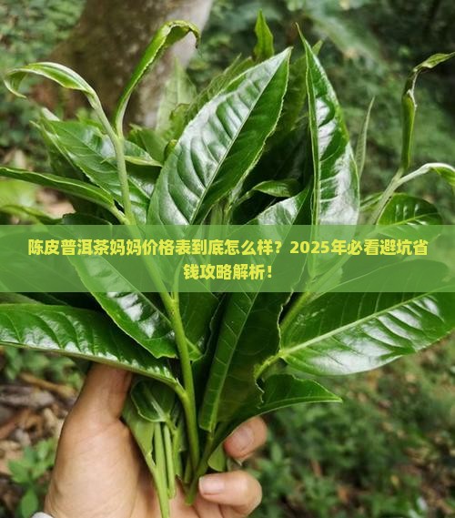 陈皮普洱茶妈妈价格表 陈皮普洱茶妈妈价格表