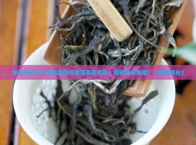 龙园号普洱茶李正行的儿子