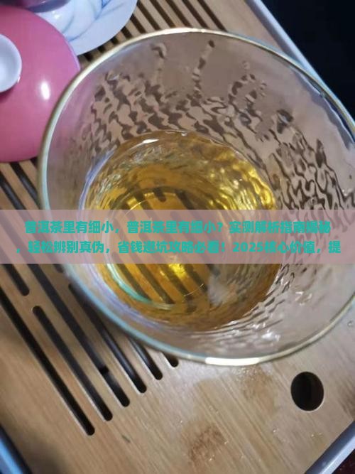 普洱茶里有细小