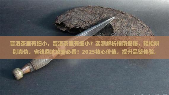 普洱茶里有细小