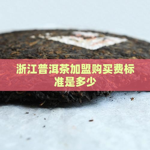 浙江普洱茶加盟购买费标准