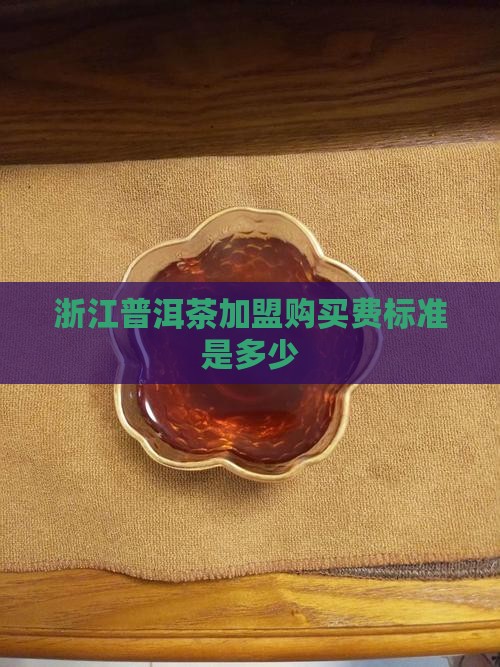 浙江普洱茶加盟购买费标准