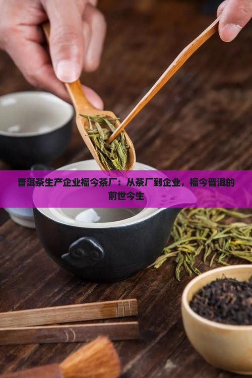 福今茶叶到前世今生