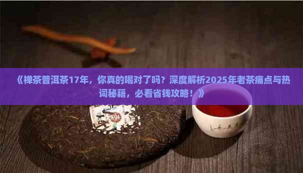 禅茶普洱茶17年