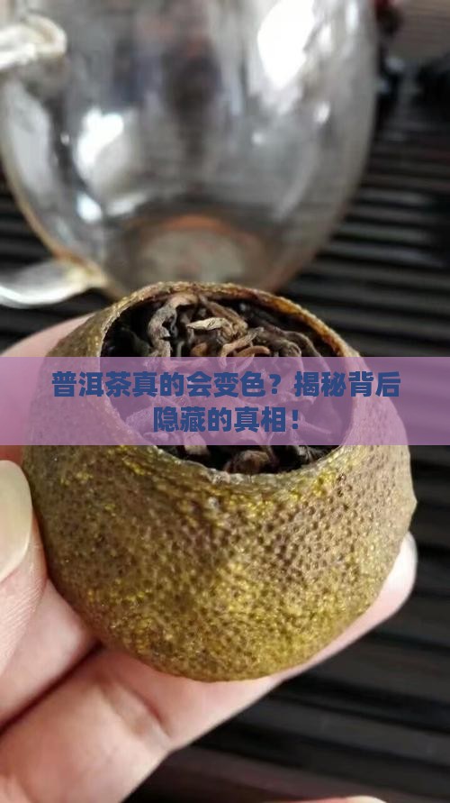 普洱茶能变色吗