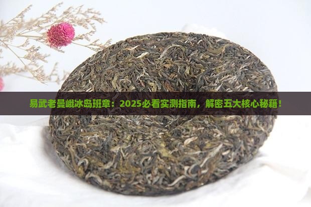 易武老曼峨冰岛班章