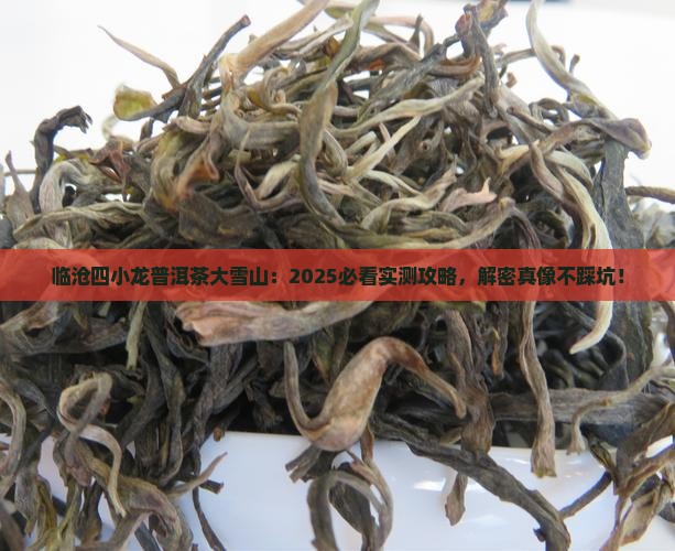 临沧四小龙普洱茶大雪山