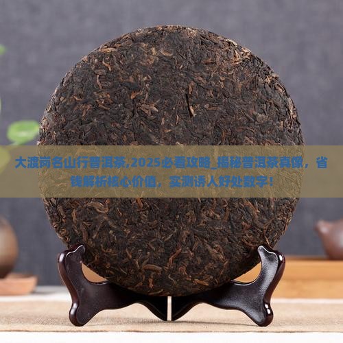 大渡岗名山行普洱茶