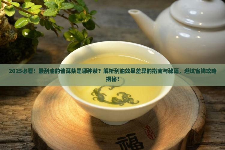 最刮油的普洱茶是哪种茶