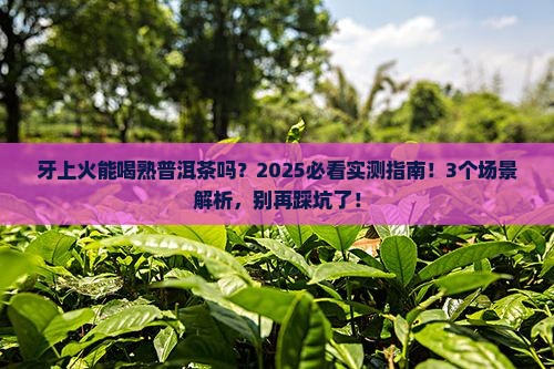 牙上火能喝熟普洱茶吗
