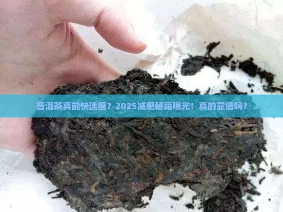 普洱茶体重减轻很快