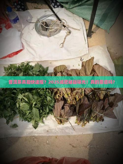普洱茶体重减轻很快