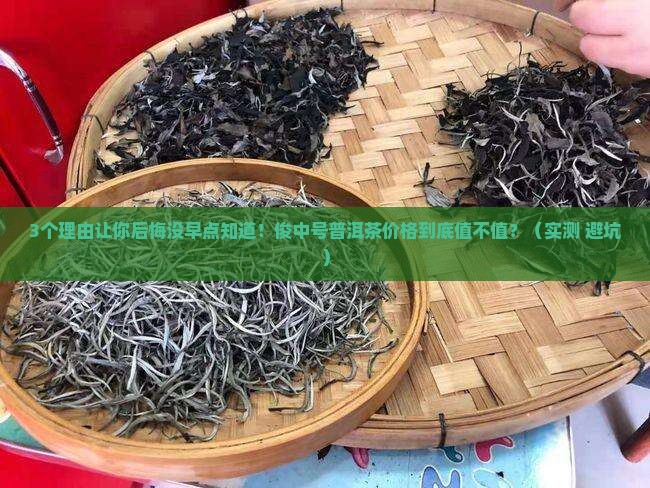俊中号普洱茶价格