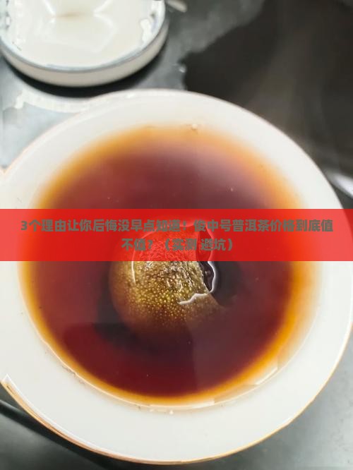 俊中号普洱茶价格