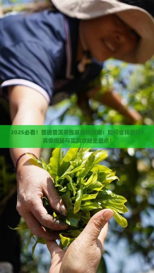 普通普洱茶包装