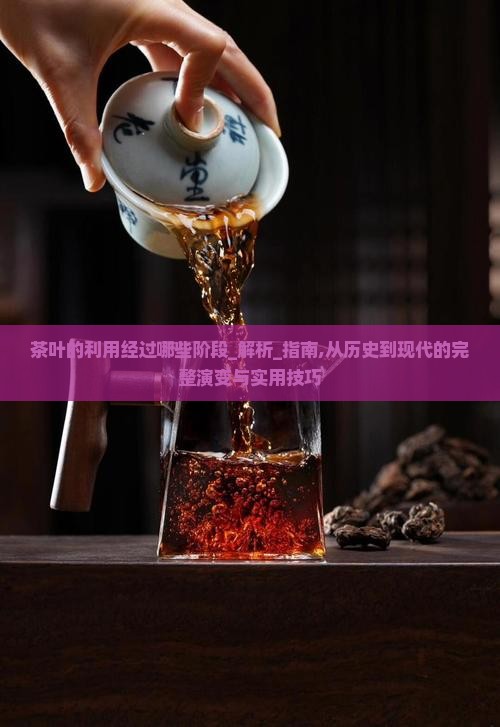 茶叶的利用经过哪些阶段
