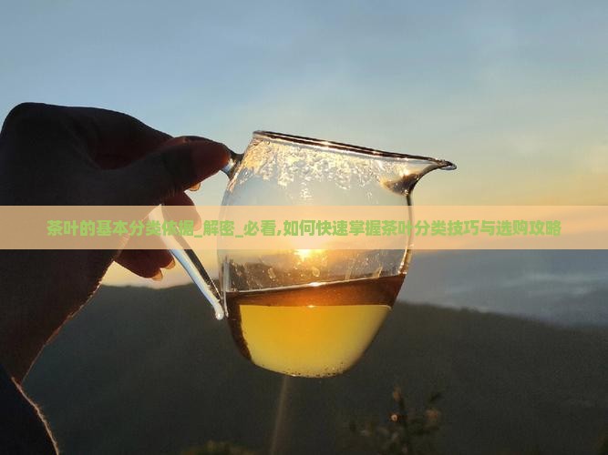 茶叶的基本分类依据