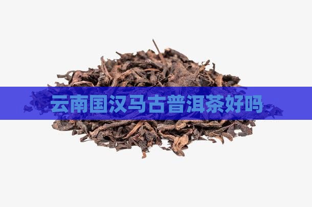 云南国汉马古普洱茶