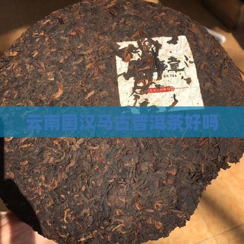云南国汉马古普洱茶