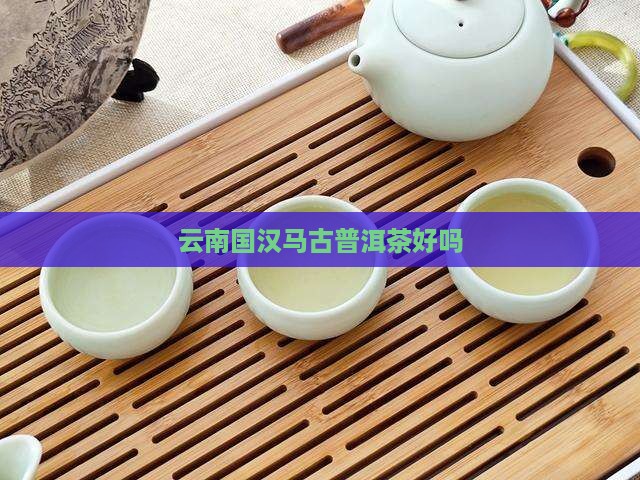 云南国汉马古普洱茶
