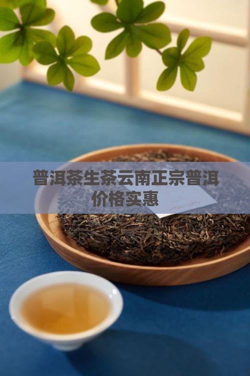 宁德普洱茶生茶