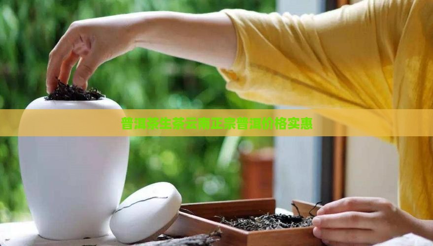 宁德普洱茶生茶