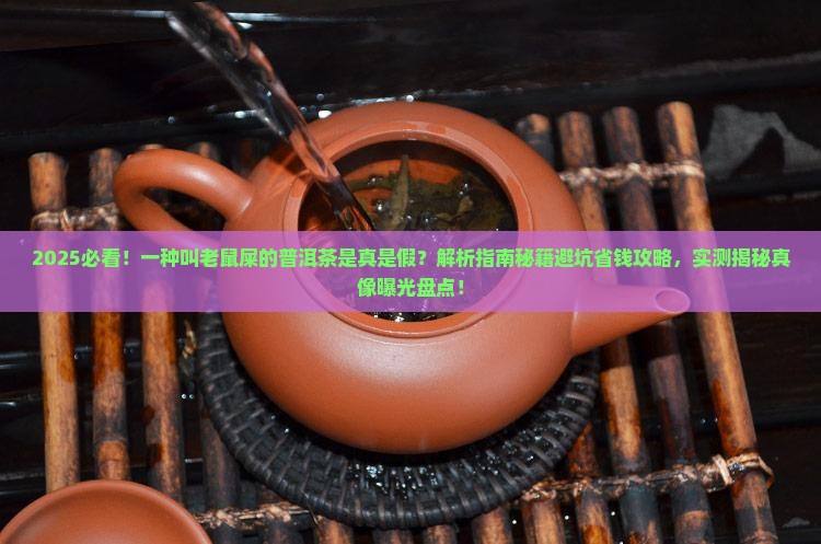 一种叫老鼠屎的普洱茶