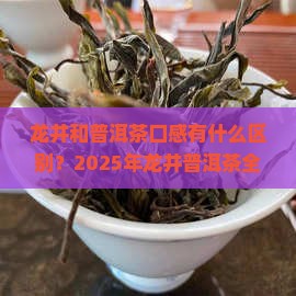 龙井和普洱茶口感