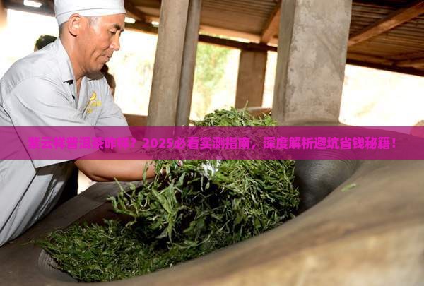 紫云祥普洱茶咋样