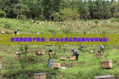 普洱茶碎银子新益